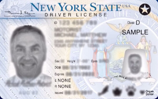 Driver License Translation - Image 4