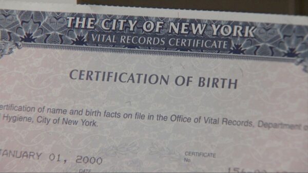 Birth Certificate Translation - Image 2