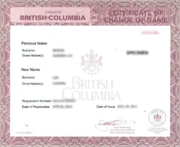 Name Change Certificate Translation - Image 5