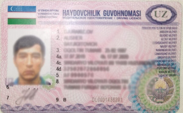 Driver License Translation - Image 2