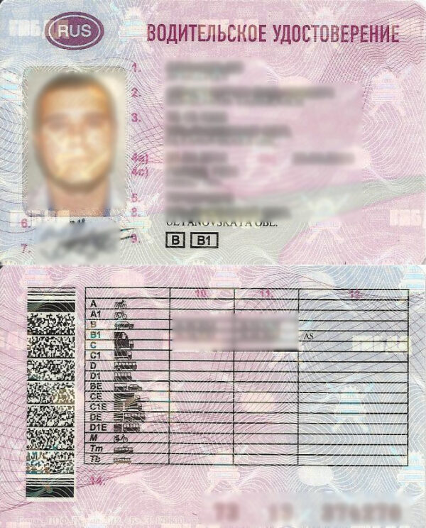 Driver License Translation